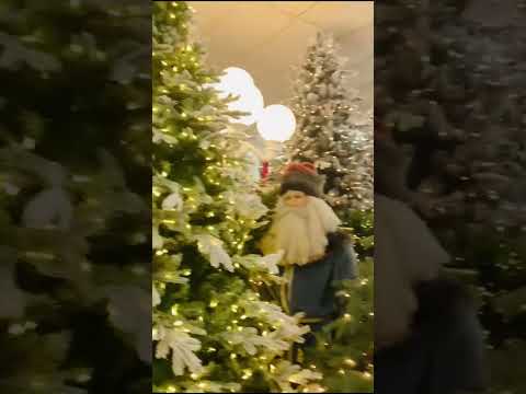 Christmas tree shop in usa , with huge collection of Exclusive Christmas Trees