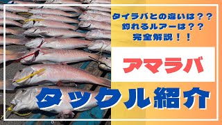 【タックル紹介】アマラバタックル完全解説！タイラバとの違いは？？大型狙いの裏技は？？