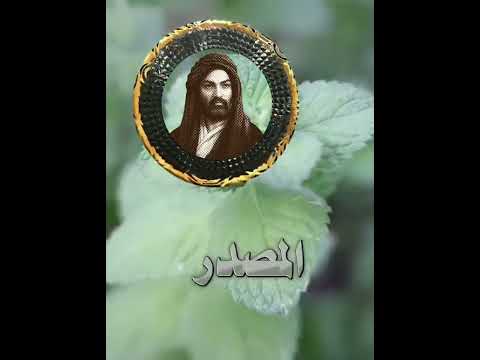 حكم واقوال الامام علي عليه السلام