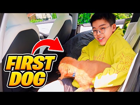 ASIANJEFF BOUGHT A NEW DOG 🐶