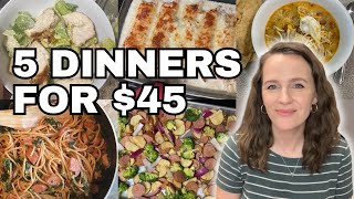 5 Cheap and Easy Family Weeknight Dinners for only $45 in 2024!