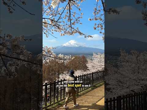 BREATHTAKING view of Mt Fuji 🏔️