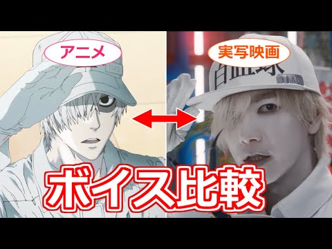 【はたらく細胞】アニメと実写映画でキャストの音声を比較　それぞれの演技の特徴は…？【ボイスロイド考察】