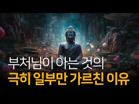 우리가 자유롭기 위해 알아야 할 것은 실제로 아주 적다 | 현재 이 순간을 알기