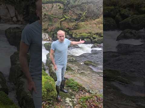 Low Waterfall #rivers #weather #rainfall #adventure #explore #nature #outdoors #forest #waterfall