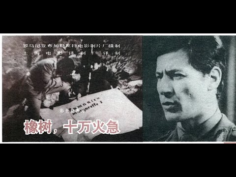 【高清译制片】1973《橡树，十万火急 Stejar – extremă urgență 》罗马尼亚（上译 配音：乔榛 富润生 刘广宁 于鼎   李梓   严崇德 童自荣 邱岳峰 翁振新）