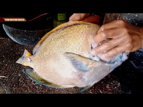 Amazing Fish Cutting Skills l Street Food ASMR Korean l Food Asian Seafood Sashimi Making Video