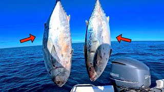 Fishing CHUNKS of CUT! BAIT over this OFFSHORE REEF in the GULF of MEXICO!