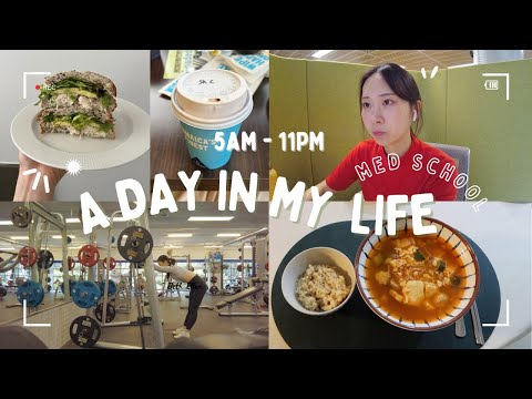 A day in the life of a med student🧑‍🎓 |**realistic: 5am start, workout routine, cooking (+recipe)