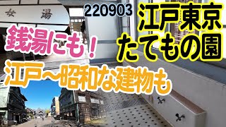 『江戸東京たてもの園』小金井公園でタイムスリップ！江戸時代から体験！