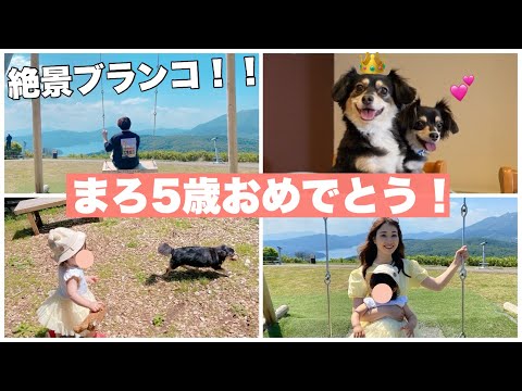 あつの裏の休日！娘と愛犬と行く箱根🚗【チワックス】