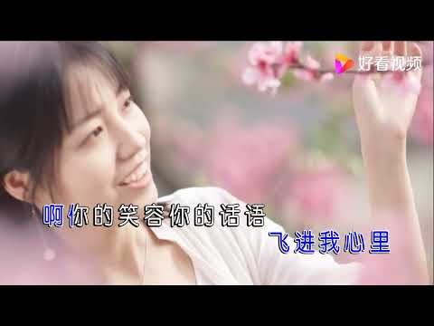 蔓儿【春天的记忆】MTV