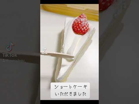 『ショートケーキ』クリスマスケーキ食べた？【shortcake】 #subscribetomyyoutubechannel #strawberry #whippedcream #美味しい #おすすめ