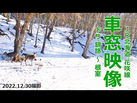 JR北海道 花咲線 車窓映像 下り 釧路 ～ 根室