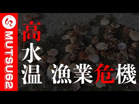 むつ市の漁業の今～高水温・ALPS処理水問題～【むつ市長の62ちゃんねる】#384