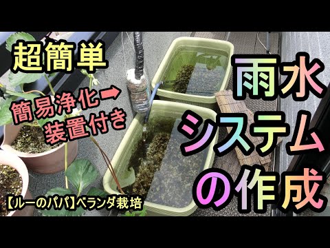 超簡単【簡易浄化装置付き雨水システムの作成】ルーのパパ ベランダ栽培