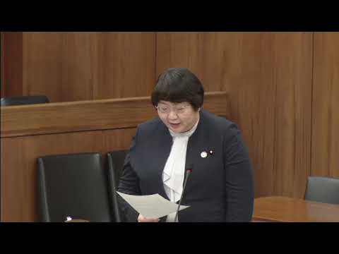 高橋千鶴子　衆議院・地域・こども・デジタル社会形成に関する委員会　20231124