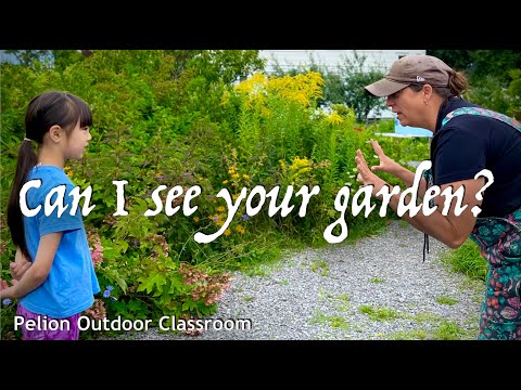 Exploring Pelion Outdoor Classroom