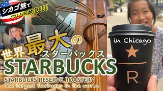 スタバの世界感はちょっと大人な空間だった|日本のグルメを求めて渡り歩いてみた編