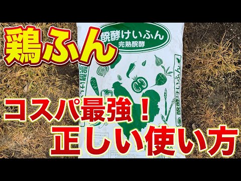 【最強肥料！】鶏ふんの使い方と注意事項！有機資材でコスパ最強！