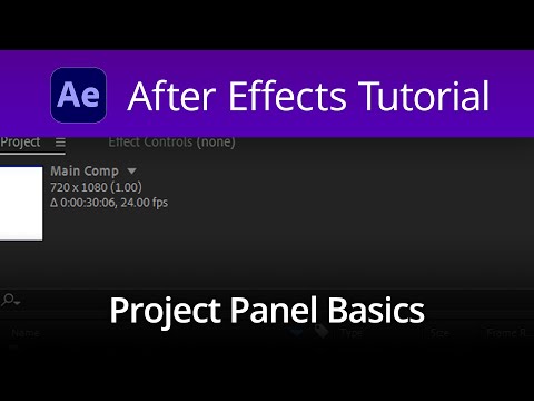 After Effects Tutorial - Project Panel Basics