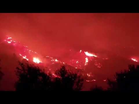 A forest fire near Corinth, Greece. September 30, 2024.