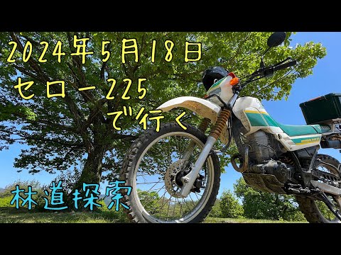 セロー225で行く✨林道探索✨