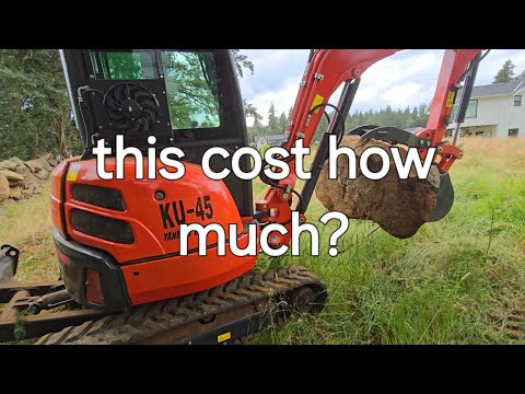 Biggest Chinese excavator lifting test on a budget - how much did it cost?