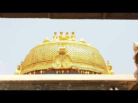 Srirangam & Pillayarpatti | Temple Visit | My attempt at Vlog