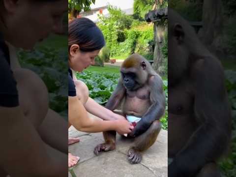 Unlikely Friends: Human-Baboon Bonding Moment