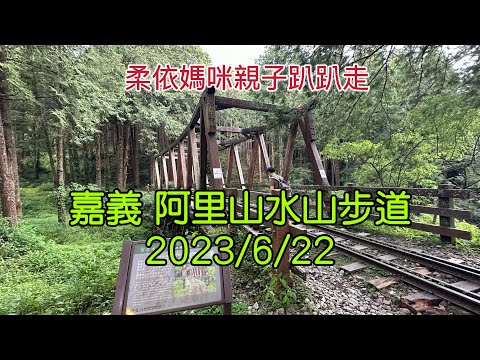 嘉義 阿里山水山步道 2023/6/22-08