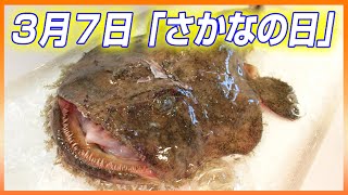 【今日は何の日】３月７日「さかなの日」