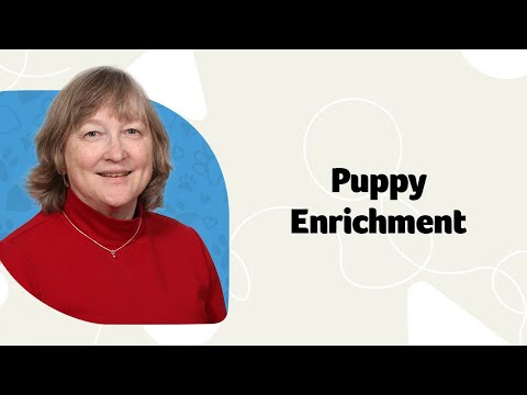 Puppy Enrichment: Placing Puppies in New Homes