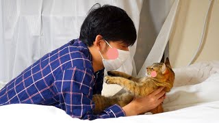 推し猫グランプリ２０２３投票始まりました。茶々カプのヒストリー