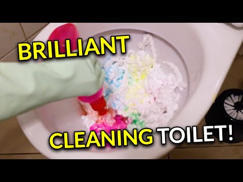 Brilliant toilet cleaning! 🥰