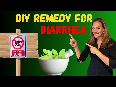 Simple DIY Natural Remedy for Diarrhea in Dogs and Cats - Holistic Vet Advice