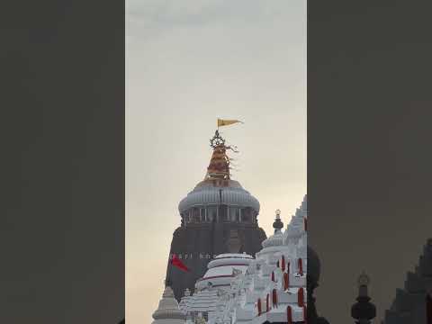 Today flag changing ritual at Jagannath temple puri 🙏🏻✨Shree Jagannath Aarti darshan #shorts #puri