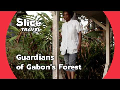 Gabon’s Hidden Forest Guardians | SLICE TRAVEL