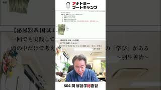 【 #国試1分道場 ・泌尿器系】腎臓について正しい記述はどれか。　１．腎盂から尿道が始まる。　２．靭帯に支えられている。　３．腎柱から尿が放出される。　４．皮質は血管が豊富である。#かずひろ先生