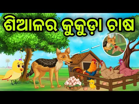 ଶିଆଳର କୁକୁଡ଼ା ଚାଷ | Siala Ra Kukuda Chasa | Tiki Chadhei | Odia Gapa | Chadhei Gapa