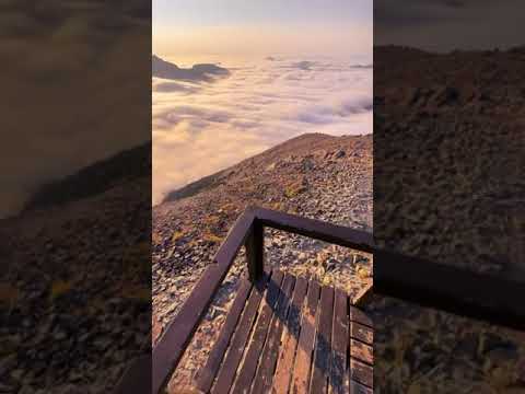 Majestic Peaks: Mount Rainier Embraced by Clouds