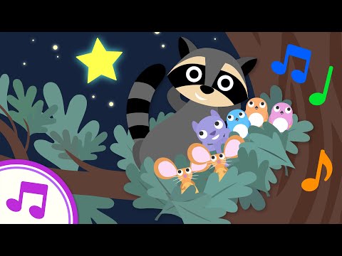 Star Light, Star Bright | Original Shapes Song from Treetop Family