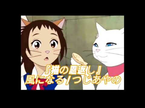 ジブリ映画『猫の恩返し』(2002)風になる / つじあやの