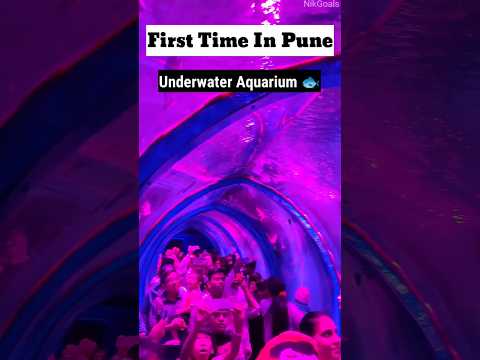 First Time In Pune Under Water Fish Tunnel Show #shorts