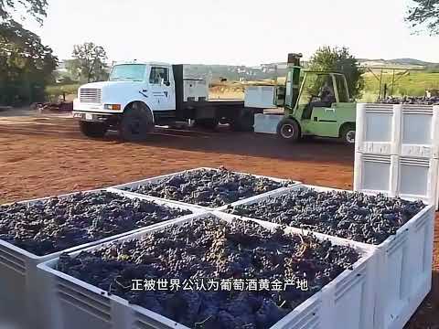 宁夏葡萄酒的逆袭之路 一口气看完宁夏葡萄酒是如何实现逆袭的