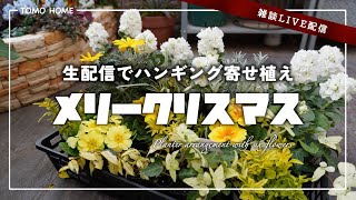 【12/25LIVE】生配信でハンギングバスケット寄せ植え作ってみた【ジュリアン・ストック】