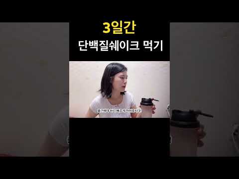 단백질쉐이크 3일만 먹기 (스위치온, 플라이밀, 다이어트)