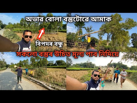 অভাৱ বোলা বস্তুটোৱে আমাক সকলো বস্তুৰ উচিত মূল্য পাব নিদিয়ে |Agarwood Tree | Agarwood Farming