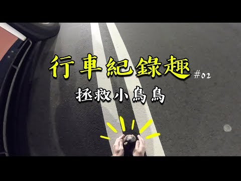 【大黑】行車紀錄趣#02 - 拯救受傷小鳥鳥