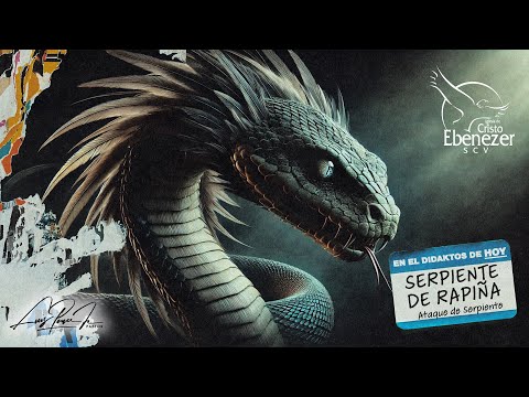 Serpiente de Rapiña - Ataque de serpiente |#Didaktos | 5 de Noviembre del 2024 #Ebenezerscv